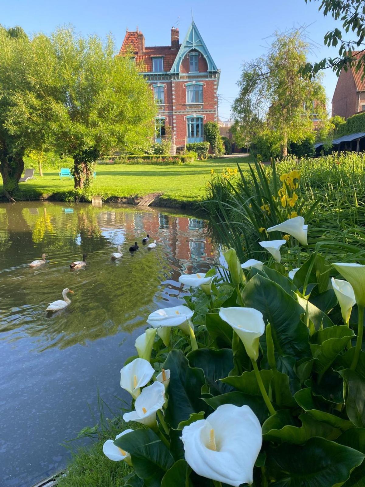 Villa Marguerite - Chambres D'Hotes Saint-Omer Kültér fotó